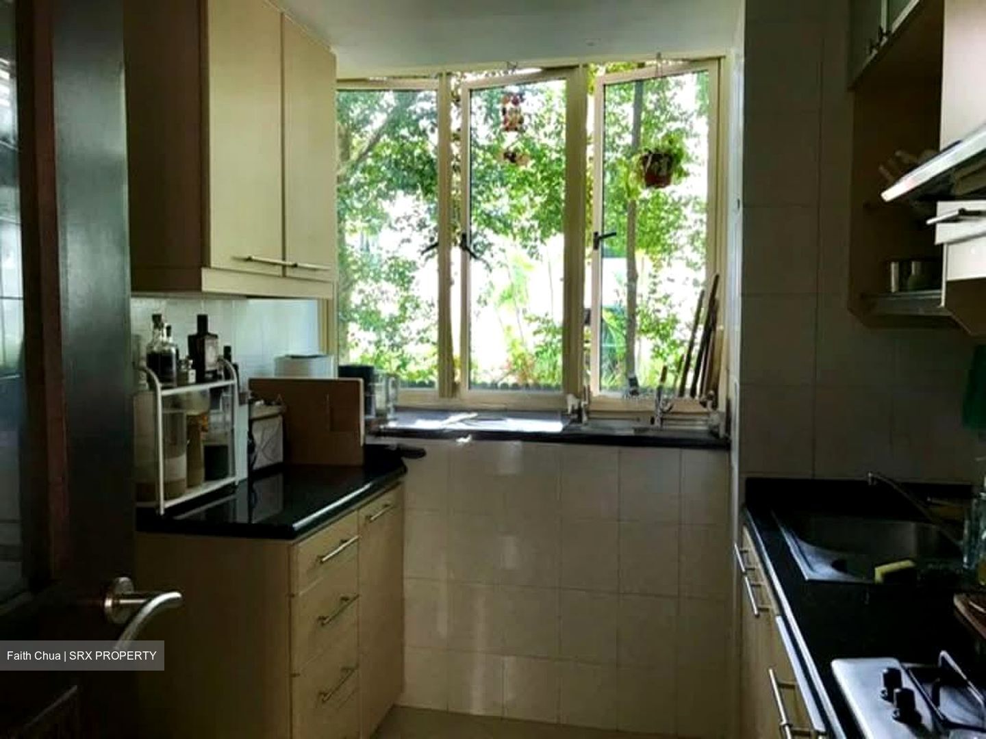 Jervois Regency (D10), Apartment #575400791